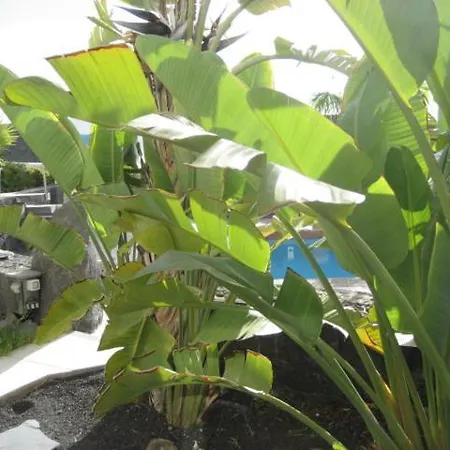 Niki Mit Beheiztem Gemeinschaftspool Fuer 2 Appartments 公寓