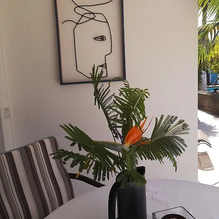 公寓 Niki Mit Beheiztem Gemeinschaftspool Fuer 2 Appartments *